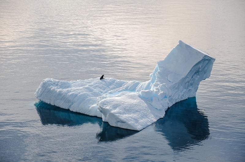 Person walking in solitude